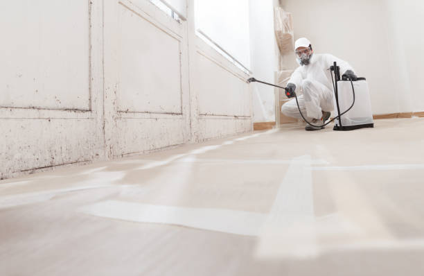 24/7 Emergency Crawl Space Mold Removal experts in Atlanta, GA